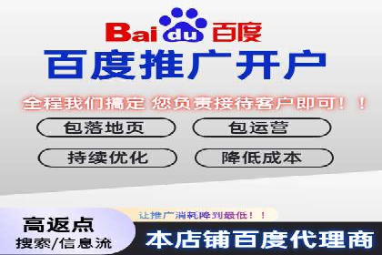 百度包年竞价案例分享：提升网站流量的秘诀